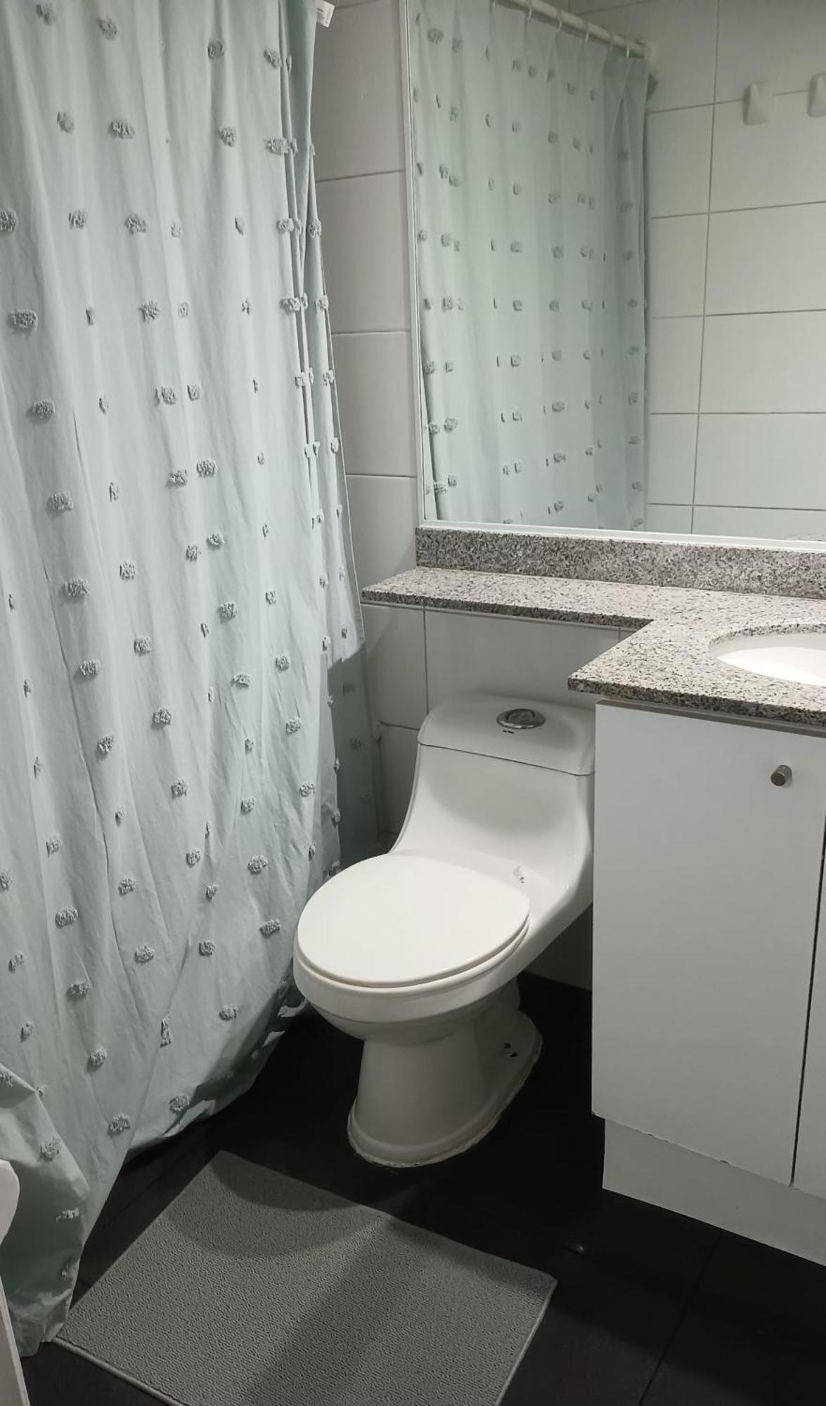 Apartamento Comodo Departamento En Barrio Bellas Artes Santiago